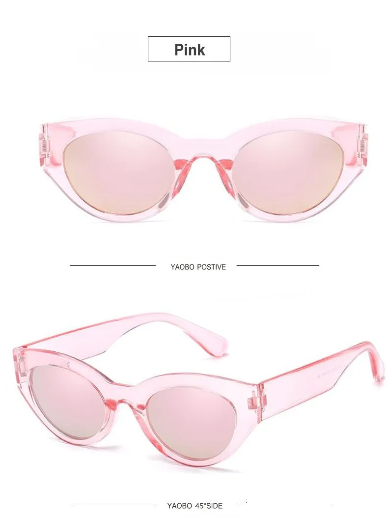 tinted sunglasses (27)