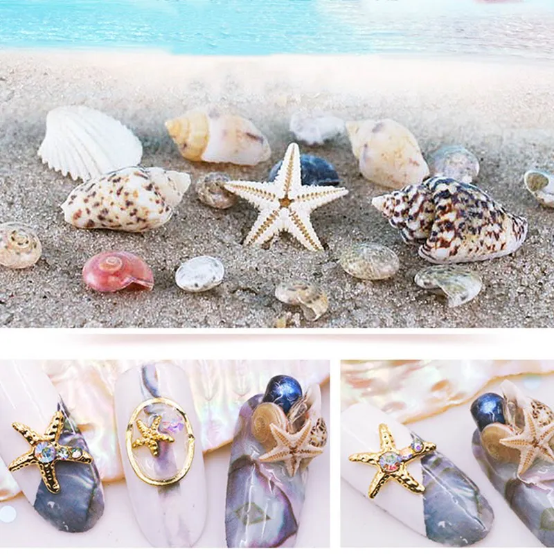 1 Box 3D Natural Nail Art Decoration Mini Conch Shells Starfish Sea Beach Ornaments Manicure Tools for DIY
1 Box 3D Natural Nail Art Decoration Mini Conch Shells Starfish Sea Beach Ornaments Manicure Tools for DIY