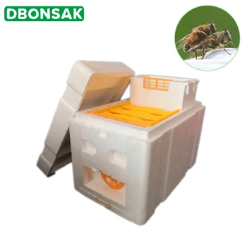 Harvest Bee Hive Box Beekeeping King Box Pollination for Bee Pollination Beekeeping Tool Home Hive Box Beekeeping Equipment
Harvest Bee Hive Box Beekeeping King Box Pollination for Bee Pollination Beekeeping Tool Home Hive Box Beekeeping Equipment