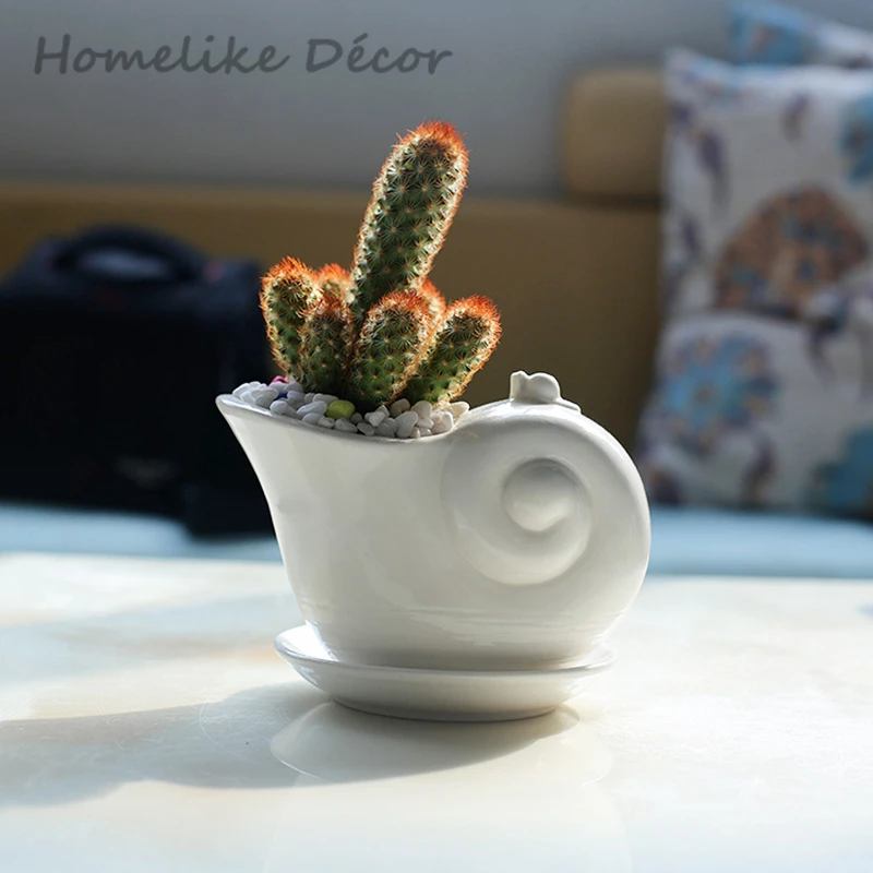 1 Shell shaped ceramic flowerpot Ocean conches porcelain flower pot with tray for Desktop, Home Garden decoration
1 Shell shaped ceramic flowerpot Ocean conches porcelain flower pot with tray for Desktop, Home Garden decoration