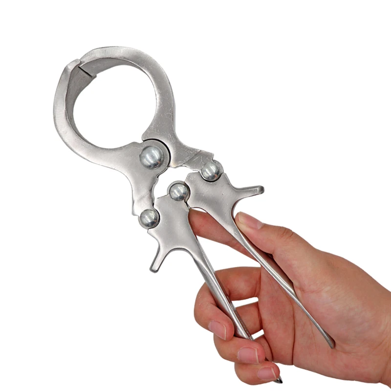 Stainless Steel Without Blood Pig Sheep Castration Clamp Castration Tool Castration Forceps Veterinary Special Tools
Stainless Steel Without Blood Pig Sheep Castration Clamp Castration Tool Castration Forceps Veterinary Special Tools