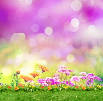 LIFE MAGIC BOX Photography Background Natural Photo Background Purple Flowers Purple Background Cm15-S-236
LIFE MAGIC BOX Photography Background Natural Photo Background Purple Flowers Purple Background Cm15-S-236