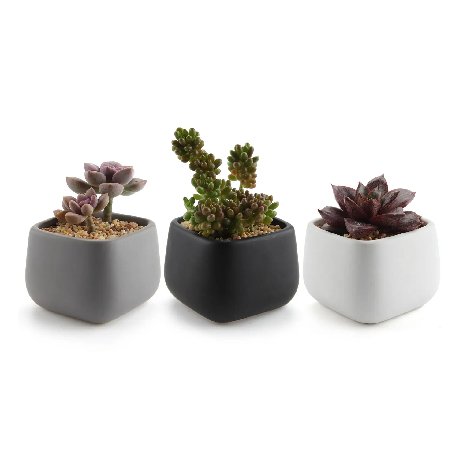 T4U 2.75 Inch Ceramic Modern Mini Square Succulent Plant Pot / Cactus Plant Pot Container - Full Color Set of 3
T4U 2.75 Inch Ceramic Modern Mini Square Succulent Plant Pot / Cactus Plant Pot Container - Full Color Set of 3