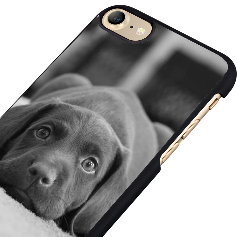 cute labrador puppy phone case cover for iPhone & ipod touch 2