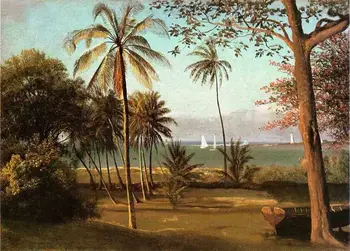 Dream-art Florida Scene - summer landscape by the river & sail boats #100% hand painted #Oil painting on Canvas #free shipping
Dream-art Florida Scene - summer landscape by the river & sail boats #100% hand painted #Oil painting on Canvas #free shipping