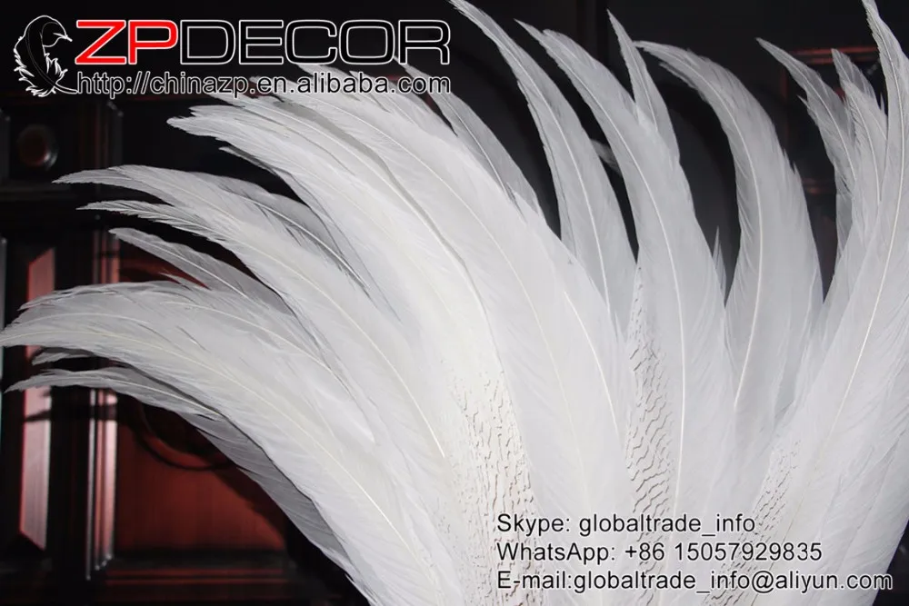 65-70cm silver pheasant feathers left (5)