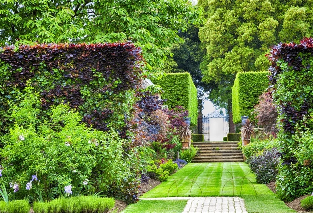 Laeacco Park Trees Plants Spring Scenic Photography Backgrounds Customized Photographic Backdrops For Photo Studio
Laeacco Park Trees Plants Spring Scenic Photography Backgrounds Customized Photographic Backdrops For Photo Studio