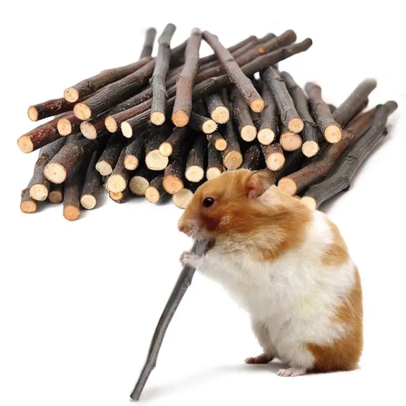 50g/set Rabbit Chinchilla Guinea Pig Squirrel Bite Molar Branch Bird Parrot Hamsters Chewing Toys
50g/set Rabbit Chinchilla Guinea Pig Squirrel Bite Molar Branch Bird Parrot Hamsters Chewing Toys