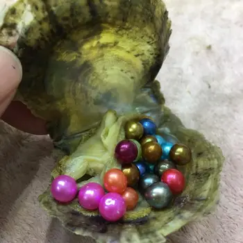 DHL Free Shipping 50pcs 6-7mm Mix 27 colors Round Akoya Single Pearl Oysters in Vacuum-packing Party Surprise Gift FP249
DHL Free Shipping 50pcs 6-7mm Mix 27 colors Round Akoya Single Pearl Oysters in Vacuum-packing Party Surprise Gift FP249