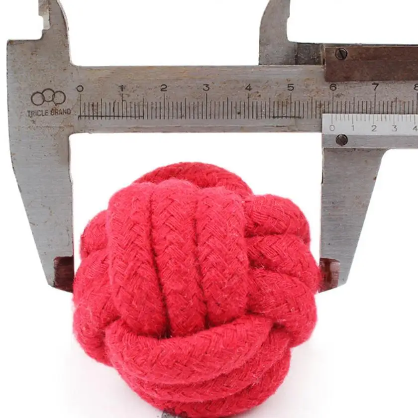 YCC70615558_20170615035235361