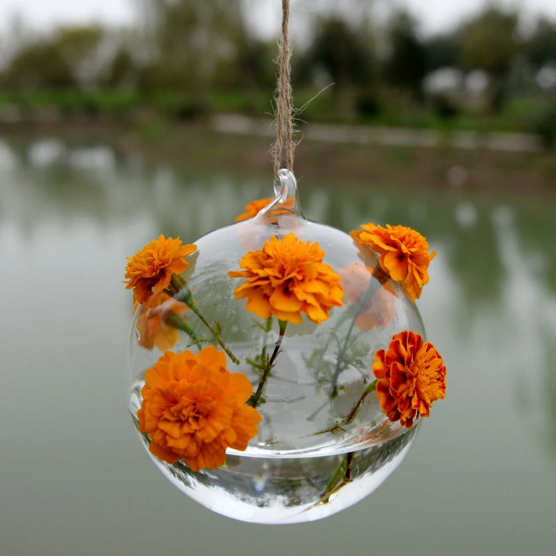 Home Garden Clear Glass Flower Circular Porose Hanging Vase Planter Terrarium Container New
Home Garden Clear Glass Flower Circular Porose Hanging Vase Planter Terrarium Container New