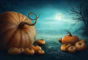 Halloween Pumpkin Outdoor Night Full Moon Tree Scary photo backdrop Vinyl cloth Computer print party backgrounds
Halloween Pumpkin Outdoor Night Full Moon Tree Scary photo backdrop Vinyl cloth Computer print party backgrounds