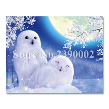 wall sticker Needlework DIY 5D Diamond Painting Cross Stitch Kits winter owl Full Square Diamond Embroidery Mosaic Home Decor
wall sticker Needlework DIY 5D Diamond Painting Cross Stitch Kits winter owl Full Square Diamond Embroidery Mosaic Home Decor