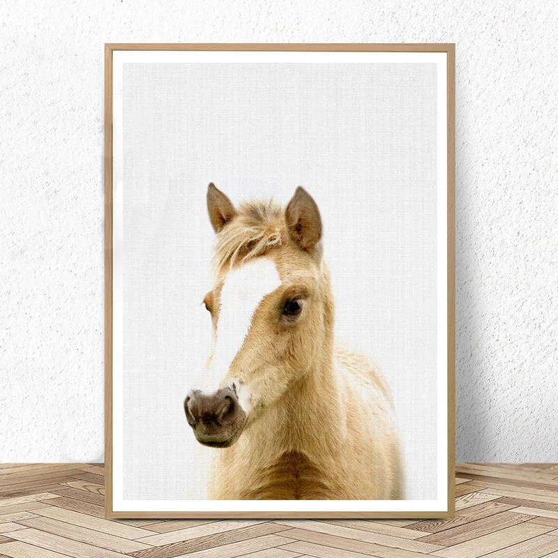 Nursery Foal Wall Art Farm Animal Print Baby Horse Poster Canvas Art Painting Posters and Prints Kids Babies Bedroom Decoration
Nursery Foal Wall Art Farm Animal Print Baby Horse Poster Canvas Art Painting Posters and Prints Kids Babies Bedroom Decoration