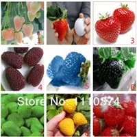 QQ20170905110511