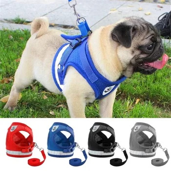 Adjustable Extra Small Dog Harness And Leash Set Reflective Step In Mesh Soft Dog Harnesses For Small Dogs Harness Vest
Adjustable Extra Small Dog Harness And Leash Set Reflective Step In Mesh Soft Dog Harnesses For Small Dogs Harness Vest