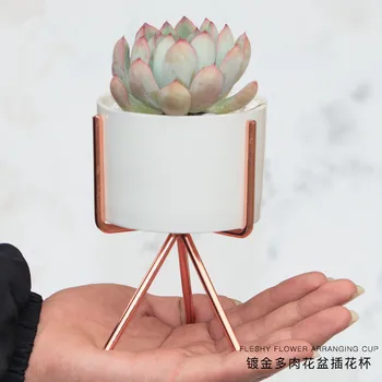 Gold/Rose Gold Succulent Plant Pot Holder,Iron Floral Decoration Holder Green Plant Ceramic Flower Pot
Gold/Rose Gold Succulent Plant Pot Holder,Iron Floral Decoration Holder Green Plant Ceramic Flower Pot