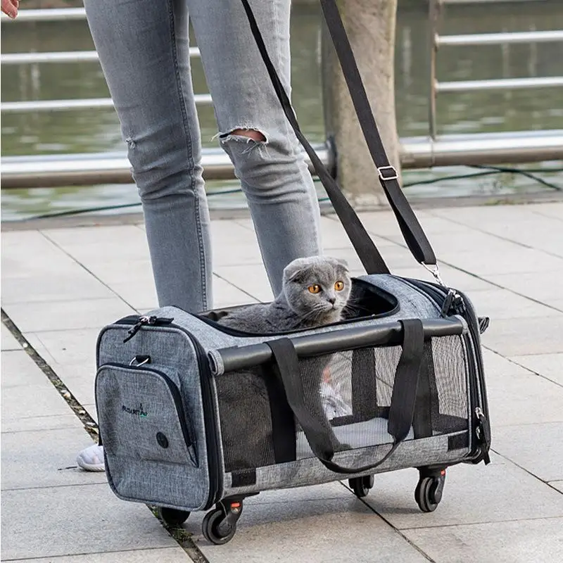 Portable Travel Dog Bag Cat Bag Pet Cage Breathable Collapsible Pet Cart Universal Wheel Portable Pet Bag Out
Portable Travel Dog Bag Cat Bag Pet Cage Breathable Collapsible Pet Cart Universal Wheel Portable Pet Bag Out