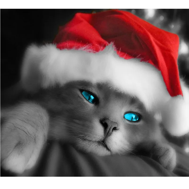 5D Diamond Mosaic Christmas Cats Handmade Diamond Painting Cross Stitch Kits Diamond Embroidery Patterns Rhinestones
5D Diamond Mosaic Christmas Cats Handmade Diamond Painting Cross Stitch Kits Diamond Embroidery Patterns Rhinestones