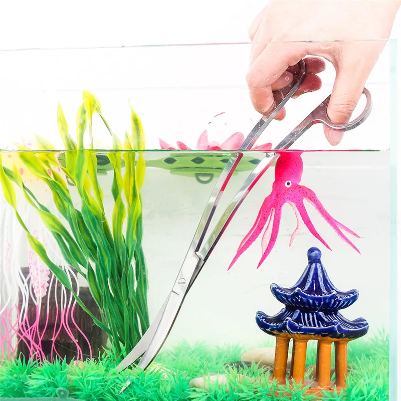 Aquarium Maintenance Tools Kit Tweezers Curve Scissor Brushes Storage Holder Fish Tank Aquatic Water Plants Cleaning Tools
Aquarium Maintenance Tools Kit Tweezers Curve Scissor Brushes Storage Holder Fish Tank Aquatic Water Plants Cleaning Tools