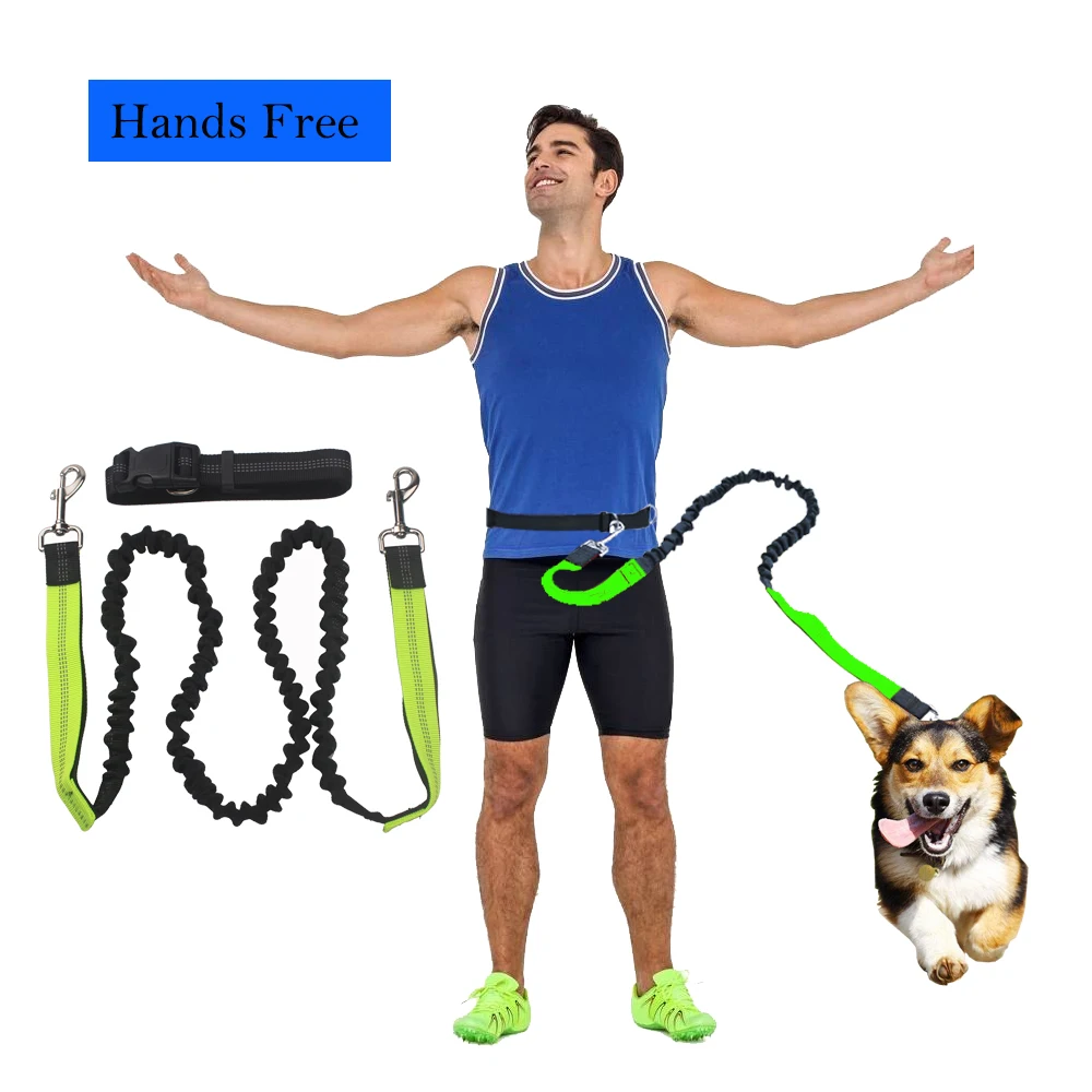 Dogs Leash Running Elastic Hands Free Dog Pet accessories Puppy Dog Harness Leash Collar Harness Jogging Lead Adjustable Waist
Dogs Leash Running Elastic Hands Free Dog Pet accessories Puppy Dog Harness Leash Collar Harness Jogging Lead Adjustable Waist