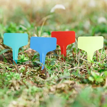 3000Pcs/lot 6x10cm Plastic Plant T-type Tags Markers Nursery Garden Decoration Tags for Plants Garden Supplies
3000Pcs/lot 6x10cm Plastic Plant T-type Tags Markers Nursery Garden Decoration Tags for Plants Garden Supplies