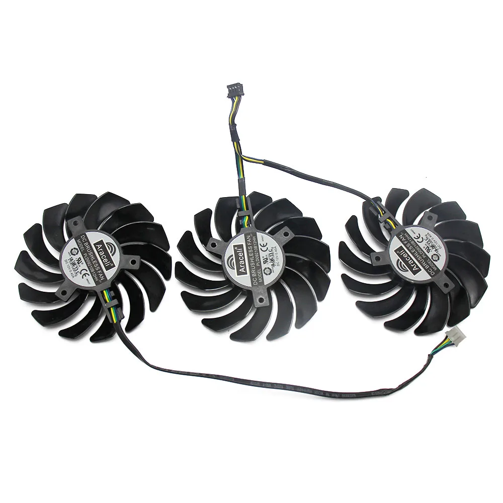 IMG_1169