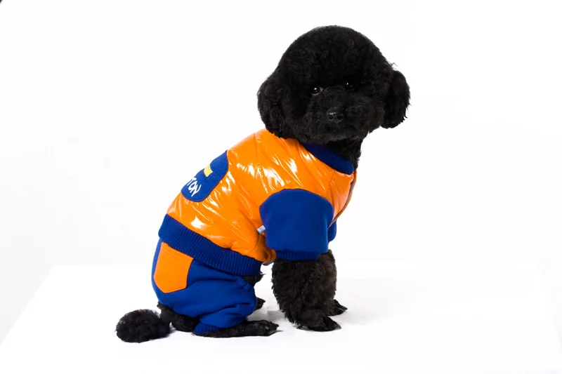6 dog jacket