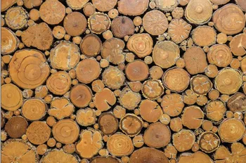 SHENGYONGBAO Vinyl Custom Photography Backdrops Photo Studio Props Wood Planks theme Photography Background SZ-56
SHENGYONGBAO Vinyl Custom Photography Backdrops Photo Studio Props Wood Planks theme Photography Background SZ-56