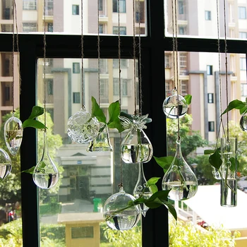 Transparent glass vase hydroponic at home decoration bottle small bottle decoration bottle
Transparent glass vase hydroponic at home decoration bottle small bottle decoration bottle