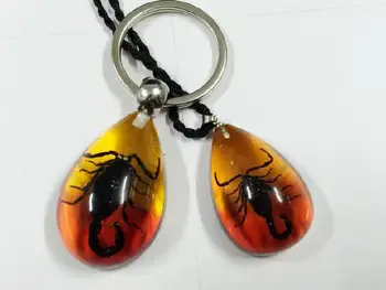 

FREE SHIPPING 10 pcs Vogue Two Color Style Cool Real Black Scorpion Insect Pendant Keychain