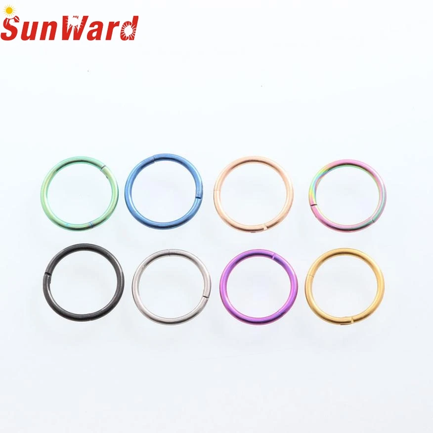 Stud earrings for women Seamless Hinged Segment Sleeper Clicker Ring Hoop Ear Lip Nose Septum Piercing stud earrings db11 p30
Stud earrings for women Seamless Hinged Segment Sleeper Clicker Ring Hoop Ear Lip Nose Septum Piercing stud earrings db11 p30