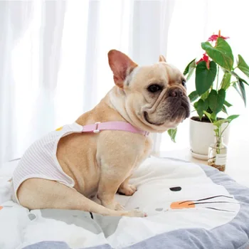 Dog Physiological Pants for Female Dog Diaper Sanitary Washable Shorts Panties Menstruation Underwear Briefs Jumpsuit For Dog
Dog Physiological Pants for Female Dog Diaper Sanitary Washable Shorts Panties Menstruation Underwear Briefs Jumpsuit For Dog
