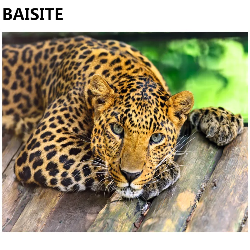 BAISITE Frameless DIY Oil Painting Pictures By Numbers On Canvas Wall Pictures Wall Art For Living Room Home Decoration 961
BAISITE Frameless DIY Oil Painting Pictures By Numbers On Canvas Wall Pictures Wall Art For Living Room Home Decoration 961