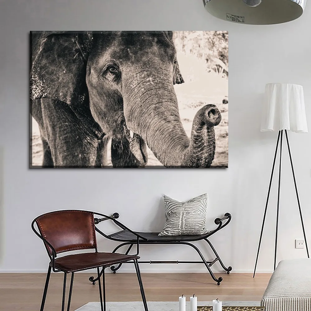 1 Panel Black & White Close-Up Elephant Picture Top-Rated Canvas Print Painting Modern Home Decorative Cuadros Modular Artwork
1 Panel Black & White Close-Up Elephant Picture Top-Rated Canvas Print Painting Modern Home Decorative Cuadros Modular Artwork