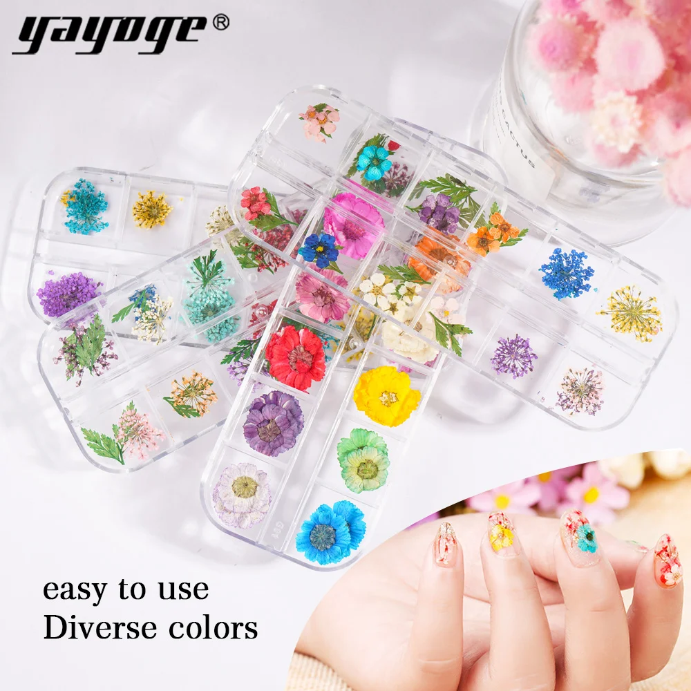 Yayoge Nail Decoration Dried Flower 4 Box 48 Types Nails Adornment Noble Salon Nature's elf
Yayoge Nail Decoration Dried Flower 4 Box 48 Types Nails Adornment Noble Salon Nature's elf