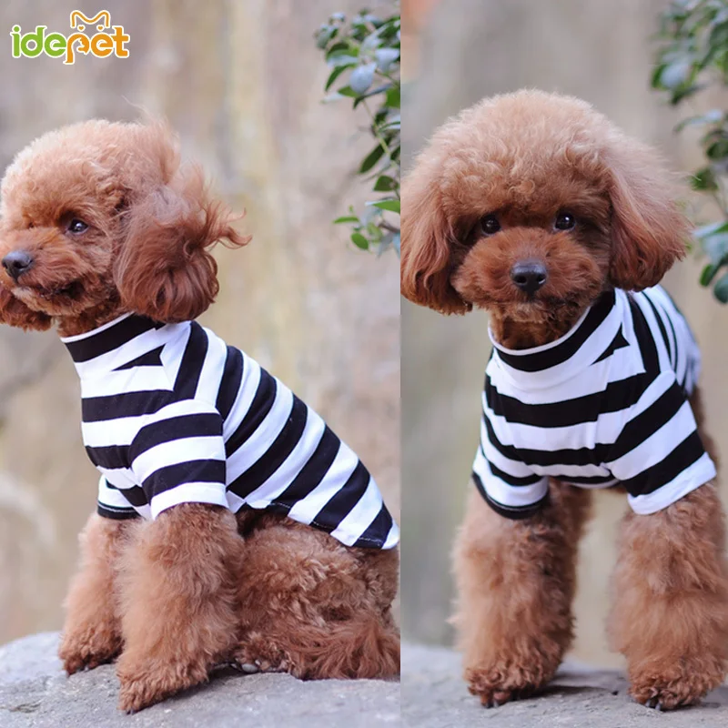 Korea Style Pet Dog Clothes For Small Dogs Cotton Pet Cat Vest Clothing French Bulldog T- Shirt Vest Cat Costume Coat 30D
Korea Style Pet Dog Clothes For Small Dogs Cotton Pet Cat Vest Clothing French Bulldog T- Shirt Vest Cat Costume Coat 30D