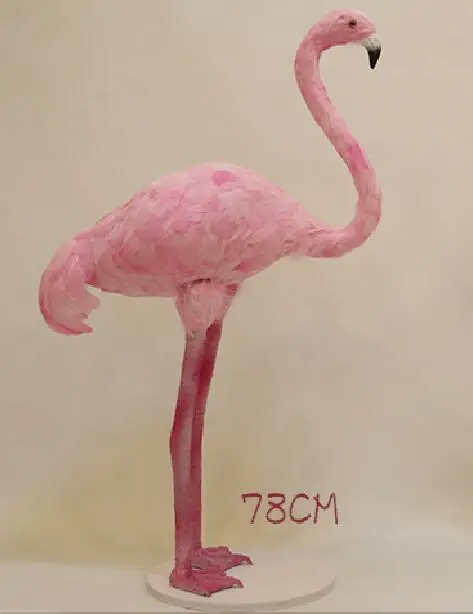 simulation Flamingos large 78cm pink feathers Flamingos bird hard model stage prop handicraft home garden decoration gift s2248
simulation Flamingos large 78cm pink feathers Flamingos bird hard model stage prop handicraft home garden decoration gift s2248