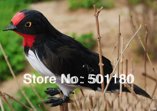 free shipping bird figurine
free shipping bird figurine