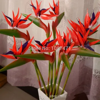 beautiful Decorative Flowers The simulation flower silk flowers Bird of paradise B165 xin dian nao
beautiful Decorative Flowers The simulation flower silk flowers Bird of paradise B165 xin dian nao