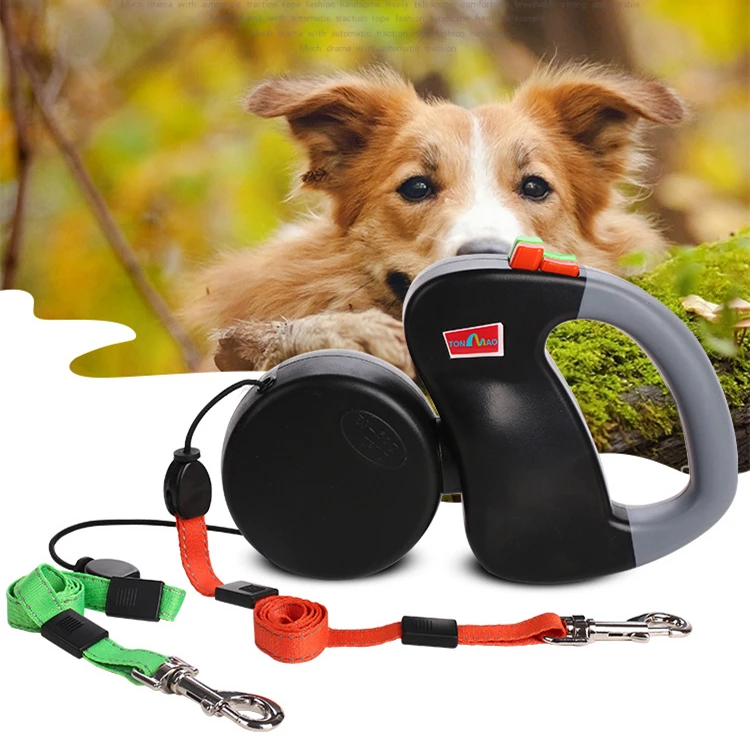 Retractable Dog Leash (1)