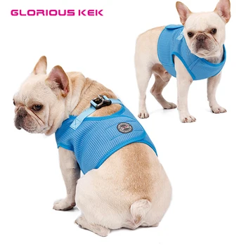 Dog Harness Breathable Mesh Light Weight Dog Harness Vest for Small Medium Dog French Bulldog Daily Walking Pet Harness Soft Red 
Dog Harness Breathable Mesh Light Weight Dog Harness Vest for Small Medium Dog French Bulldog Daily Walking Pet Harness Soft Red