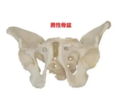 QQ20190222141450