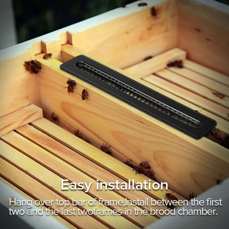 1PCS Portable Black Mites Beetle Trap Household Plastic Mite Trap Bee Hive Beekeeping Tool
1PCS Portable Black Mites Beetle Trap Household Plastic Mite Trap Bee Hive Beekeeping Tool