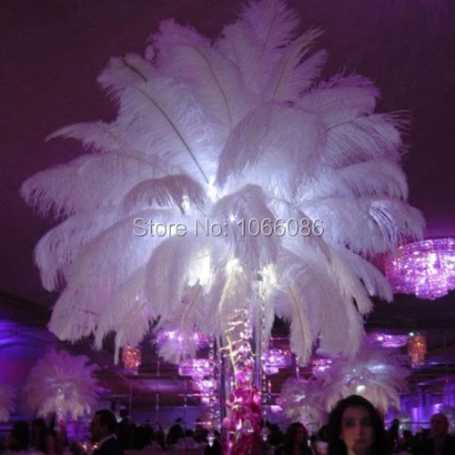 EMS Free Shipping! 50pcs/lot 50-55cm 20-22" Top quality White ostrich feathers ostrich plumages plumes
EMS Free Shipping! 50pcs/lot 50-55cm 20-22" Top quality White ostrich feathers ostrich plumages plumes