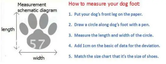 Dog Foot Size Chart