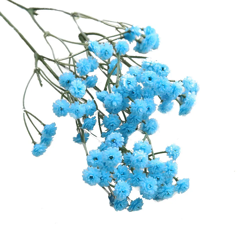 Dried Flowers Dried Gypsophila Decors Natural Dried Flowers Bouquets Baby's Breath Floral Wedding Bouquet Party Decors K403
Dried Flowers Dried Gypsophila Decors Natural Dried Flowers Bouquets Baby's Breath Floral Wedding Bouquet Party Decors K403