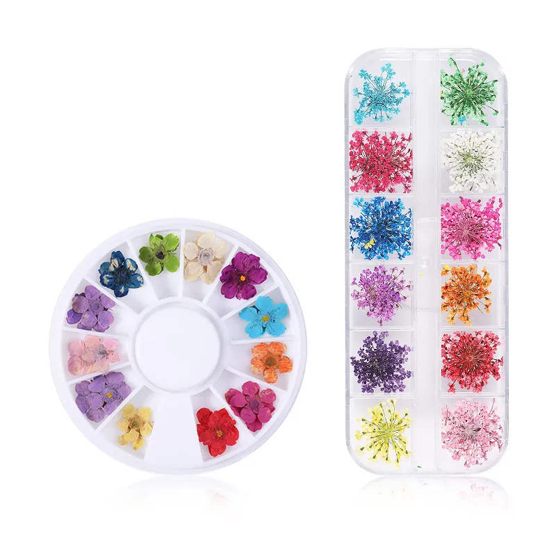 1 box 12 Colors 24pcs Dried Flower Gypsophila Daffodil Five petals Dried Flower Round box and Long box nail accessories
1 box 12 Colors 24pcs Dried Flower Gypsophila Daffodil Five petals Dried Flower Round box and Long box nail accessories