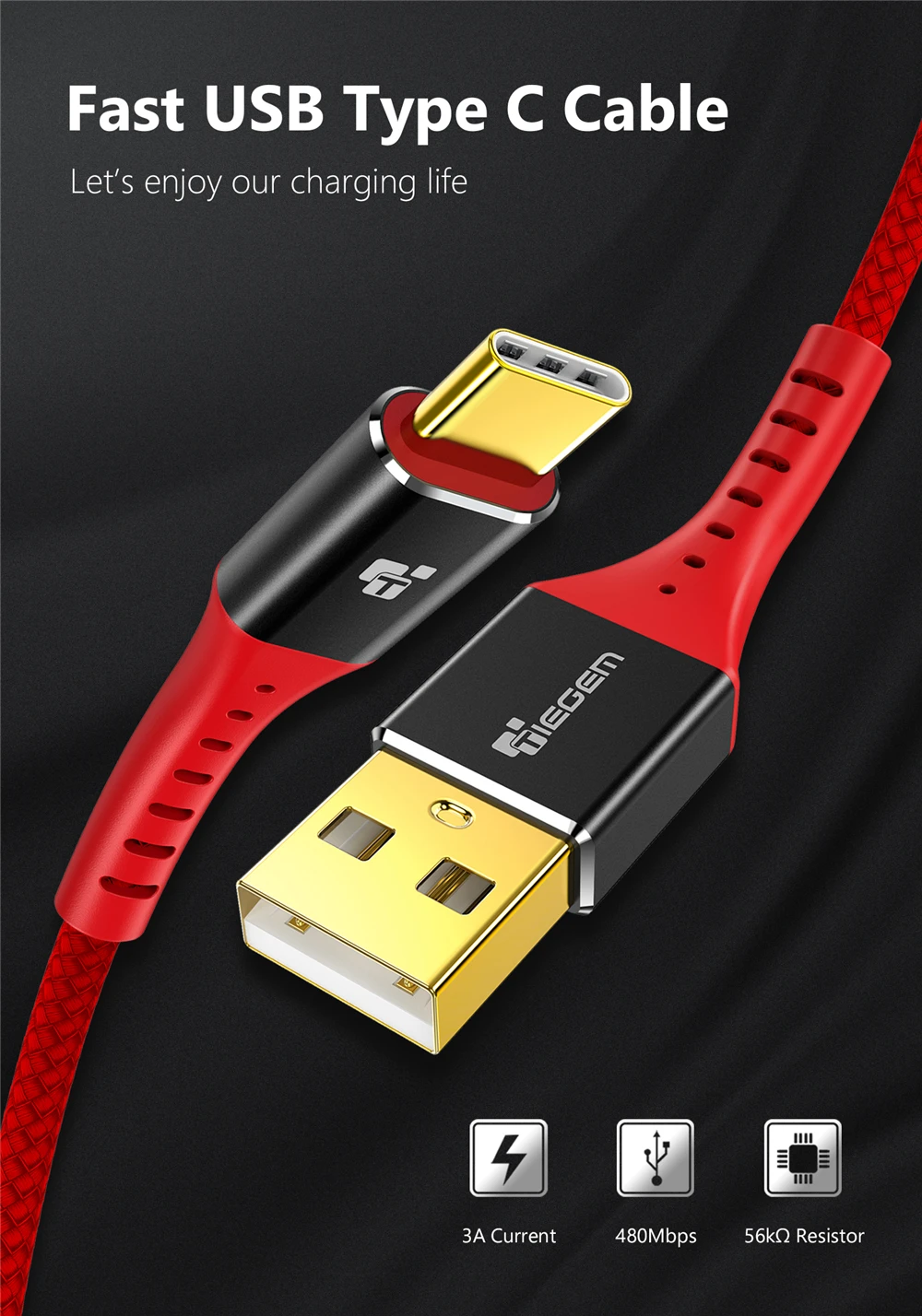 USB C Cable 11049-01