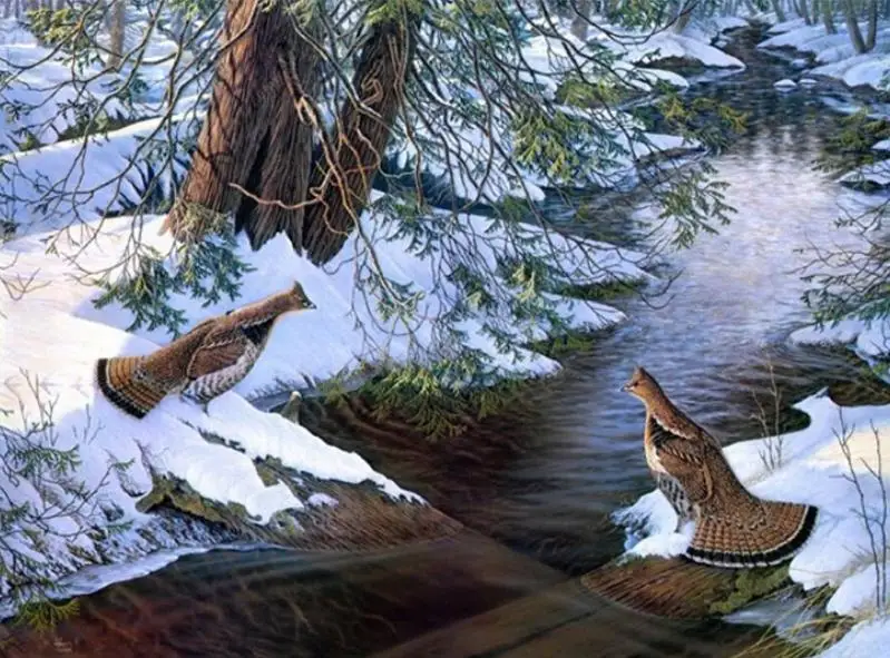 5D Diy Diamond Drawing Animals Duck Snow River Oil Painting By Number Cross Stitch Sewing Art Crafts Home YHAll Decoration
5D Diy Diamond Drawing Animals Duck Snow River Oil Painting By Number Cross Stitch Sewing Art Crafts Home YHAll Decoration